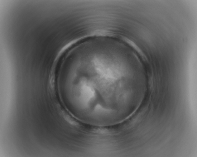 X0000114100971200910051442