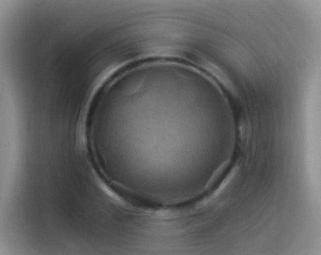 X0000114100972200910051442