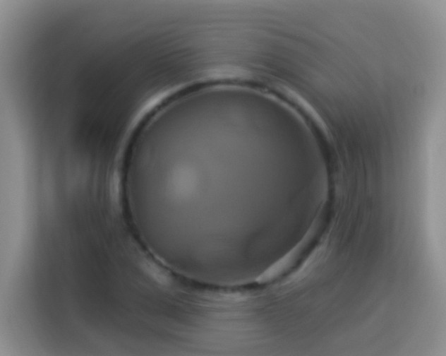 X0000114100975200910051442