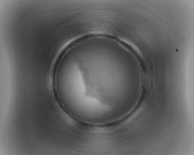 X0000114100976200910051442