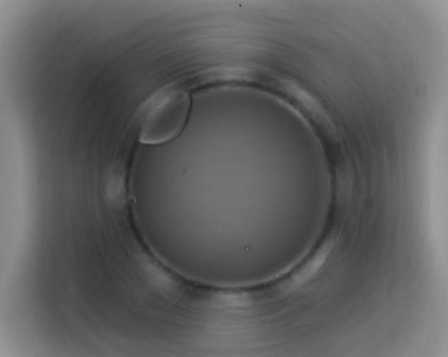 X0000114100977200910051442