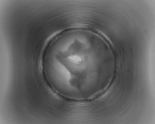 X0000114100979200910051442