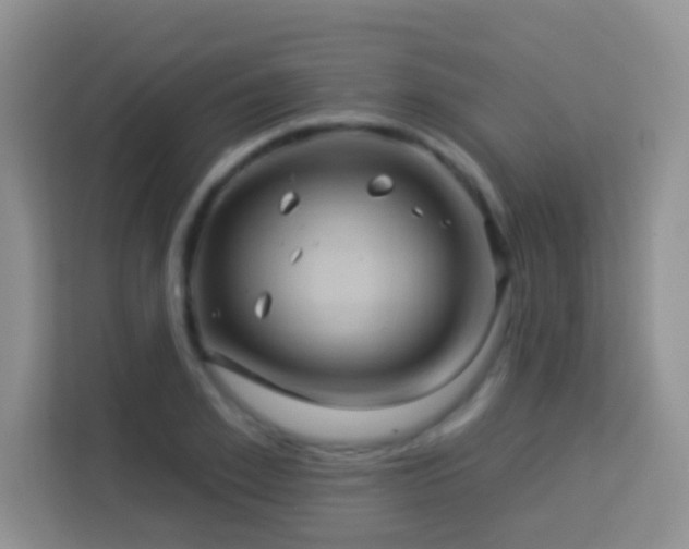 X0000114100981200910051441