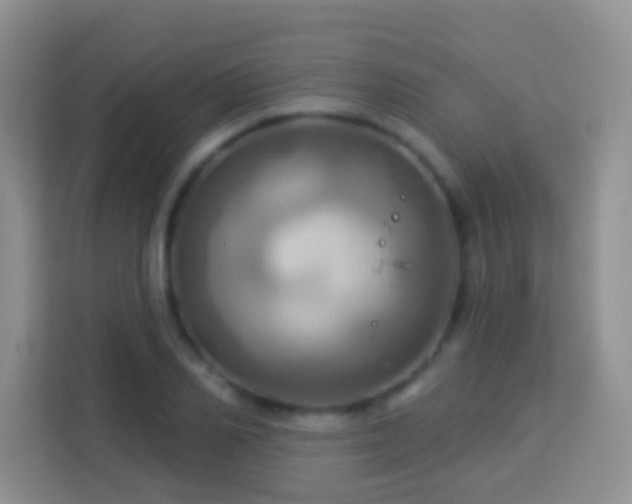 X0000114100982200910051441