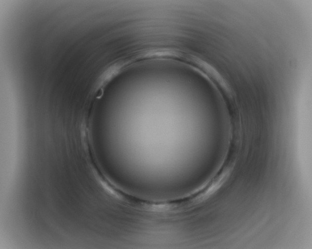 X0000114100985200910051441