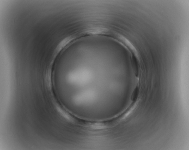 X0000114100986200910051441