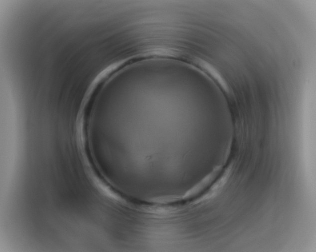 X0000114100987200910051441