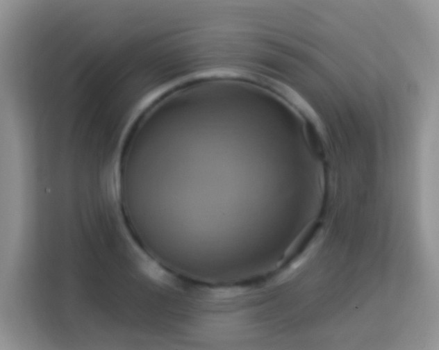 X0000114100988200910051441