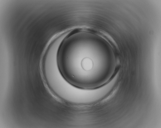 X0000114100989200910051441