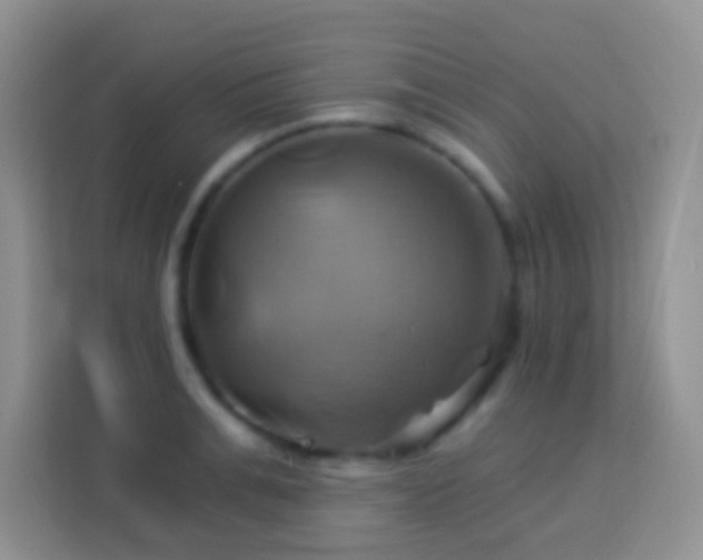 X0000114100991200910051441