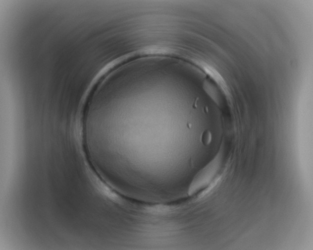 X0000114100992200910051441