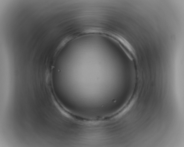 X0000114100993200910051441