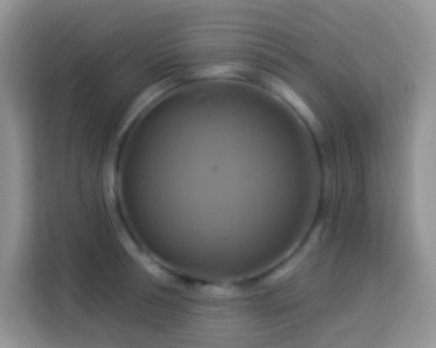 X0000114100994200910051441