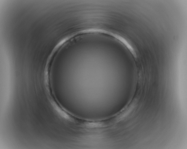 X0000114100998200910051441