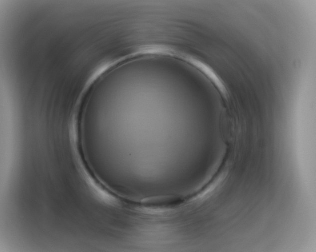 X0000114100999200910051441