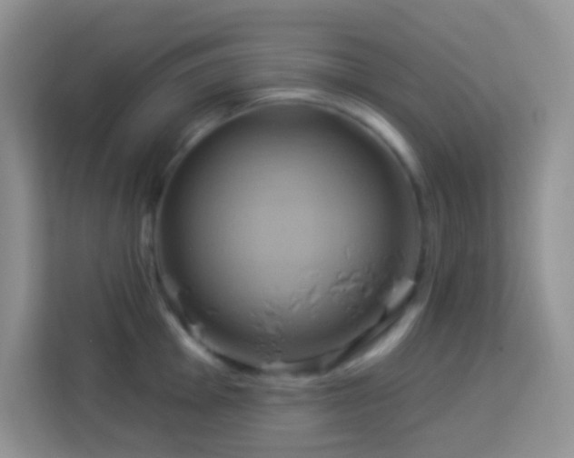 X0000114101001200910051441