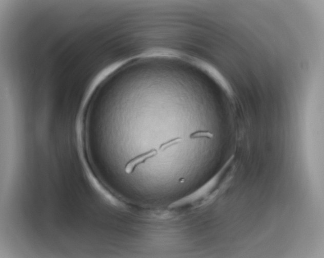 X0000114101003200910051441