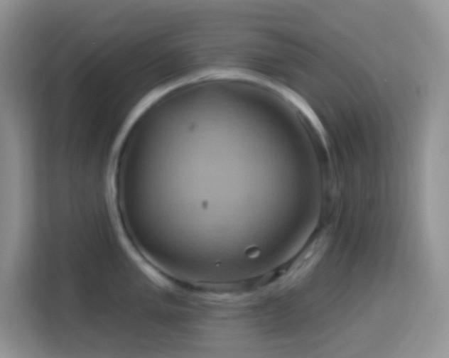 X0000114101005200910051441