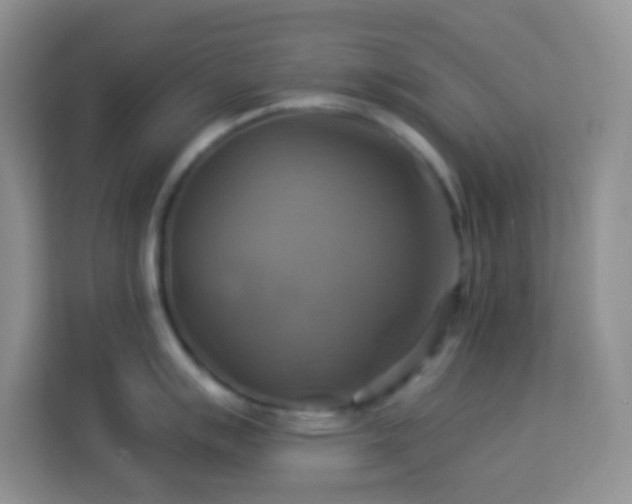 X0000114101007200910051441