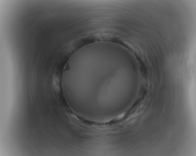 X0000114101010200910051441