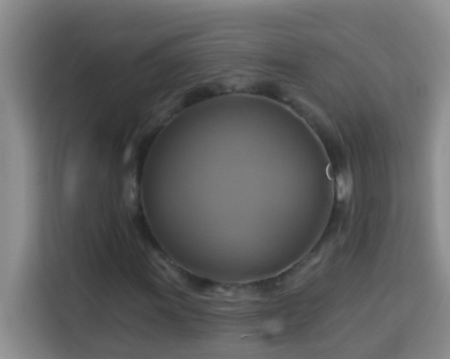 X0000114101011200910051441