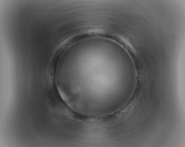 X0000114101015200910051441