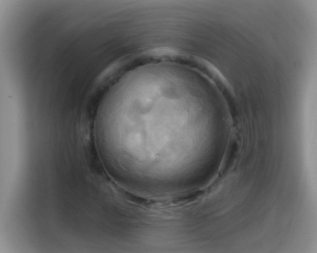 X0000114101016200910051441