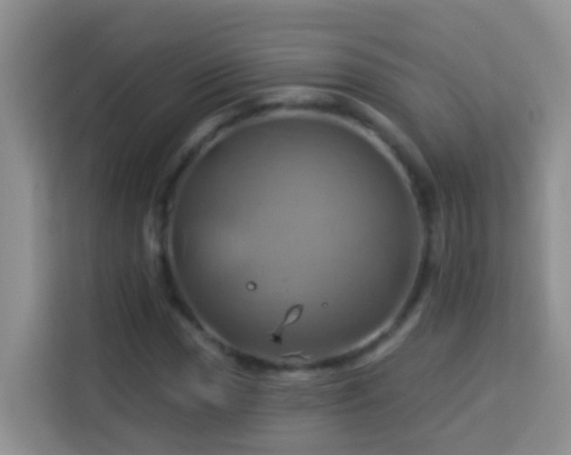 X0000114101017200910051441