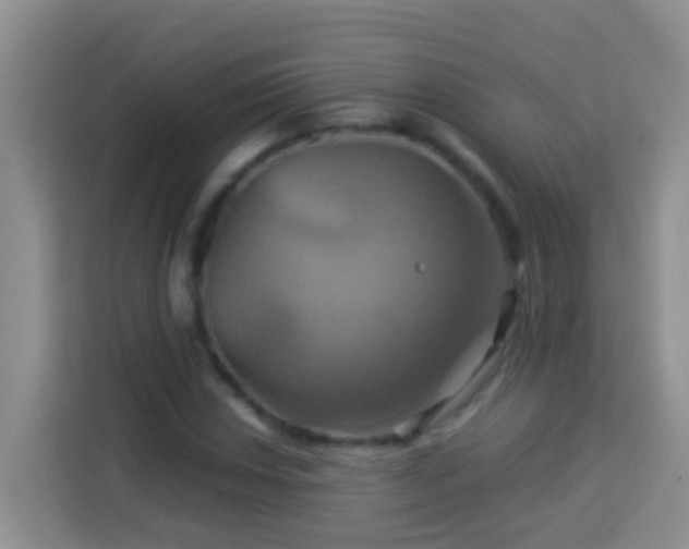 X0000114101018200910051441