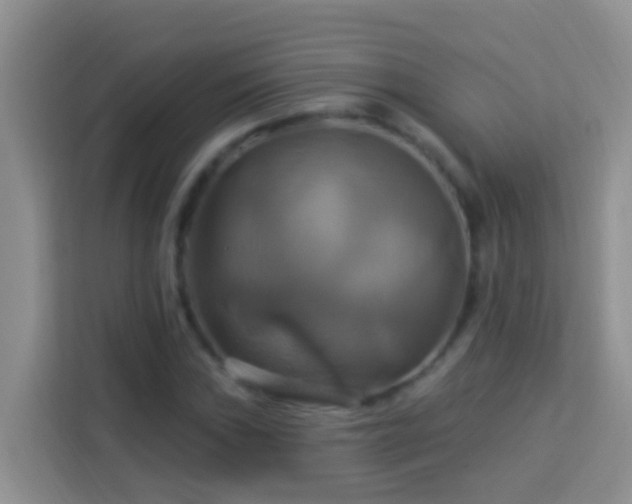 X0000114101019200910051441