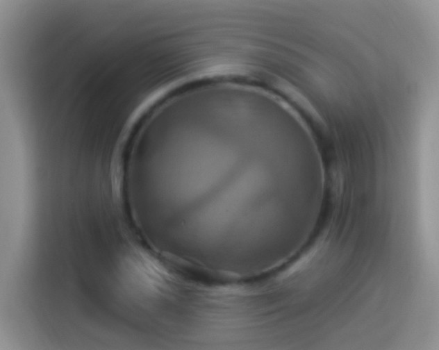 X0000114101021200910051441