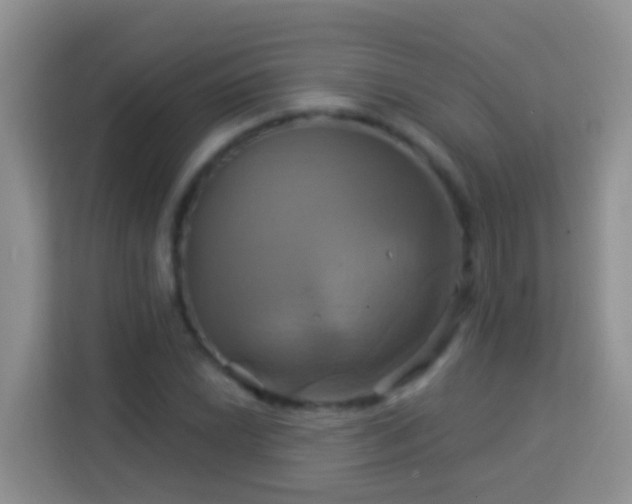 X0000114101022200910051441