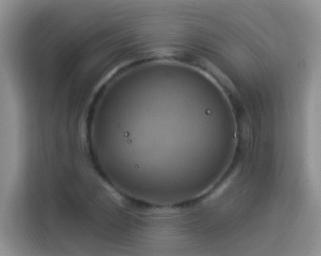 X0000114101023200910051441