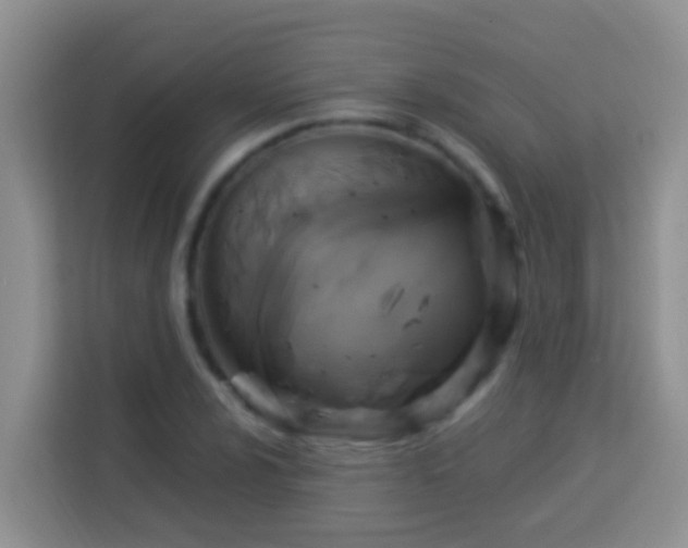 X0000114101024200910051441