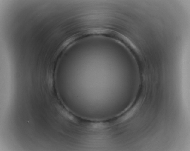 X0000114101025200910051441