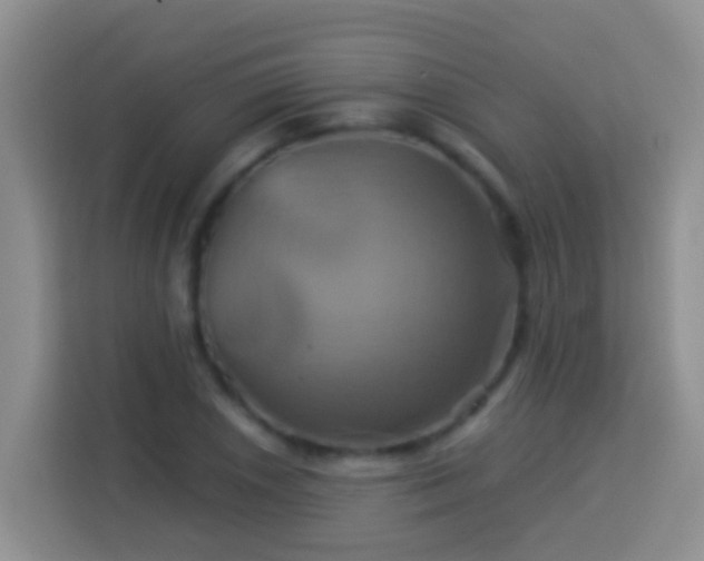 X0000114101026200910051441