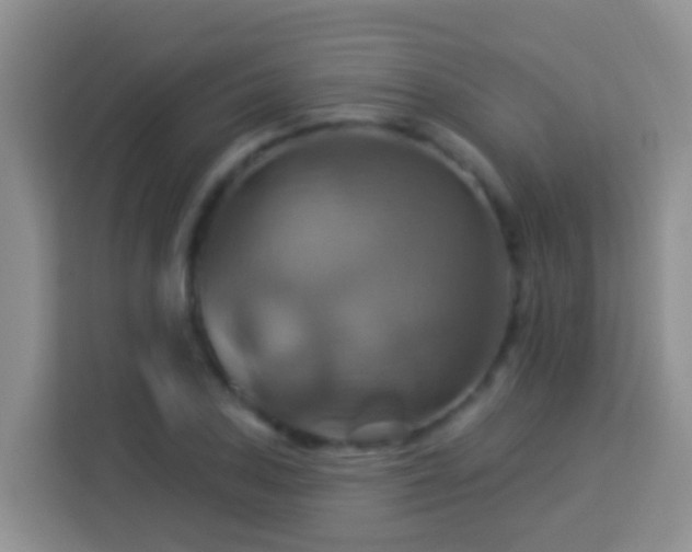 X0000114101027200910051441