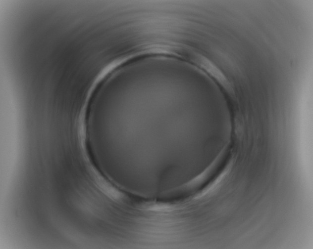 X0000114101028200910051441