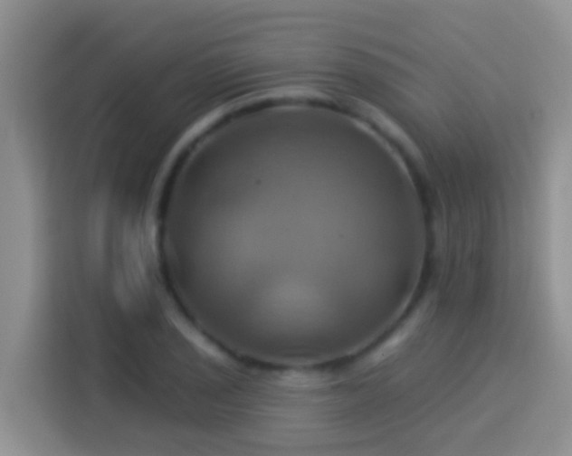 X0000114101029200910051441