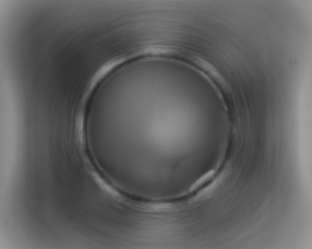 X0000114101030200910051441