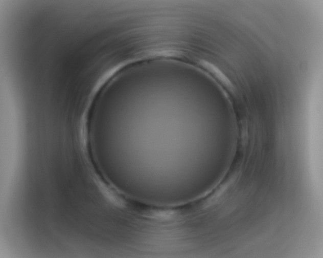 X0000114101031200910051441