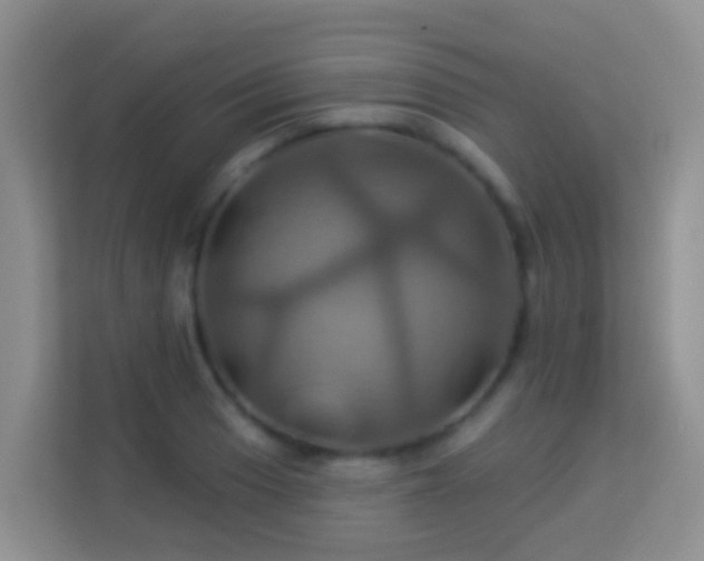 X0000114101033200910051441