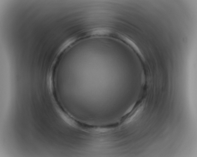 X0000114101034200910051441