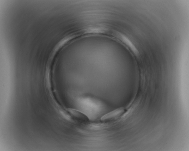 X0000114101035200910051441