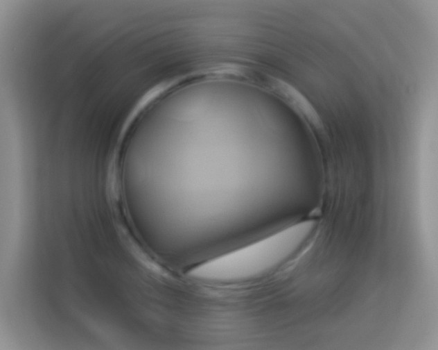 X0000114101036200910051441