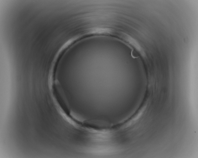 X0000114101037200910051441