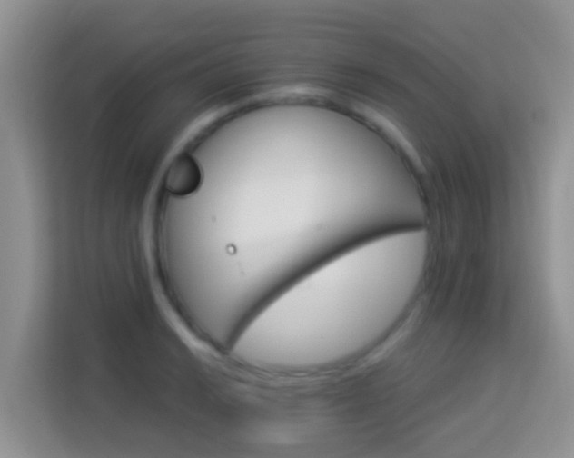 X0000114101038200910051441