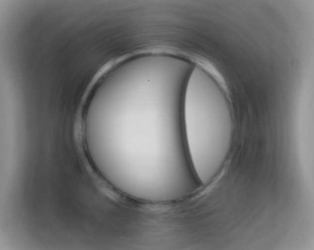 X0000114101040200910051441