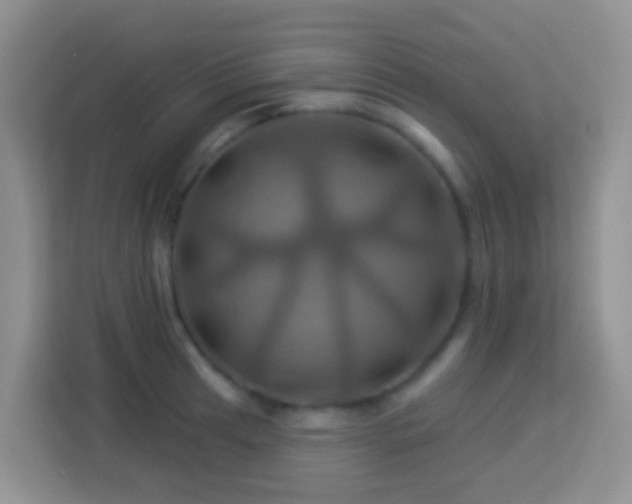 X0000114101041200910051441