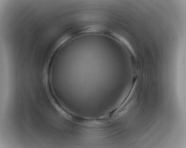 X0000114101042200910051441